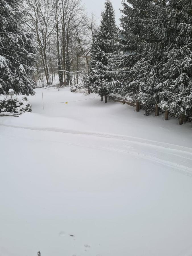 Parkblick Braunlage