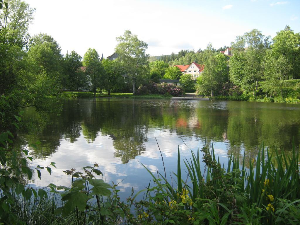 Parkblick Braunlage
